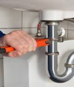 WhatsApp Image 2024-06-07 at 01.29.09_4800bd82